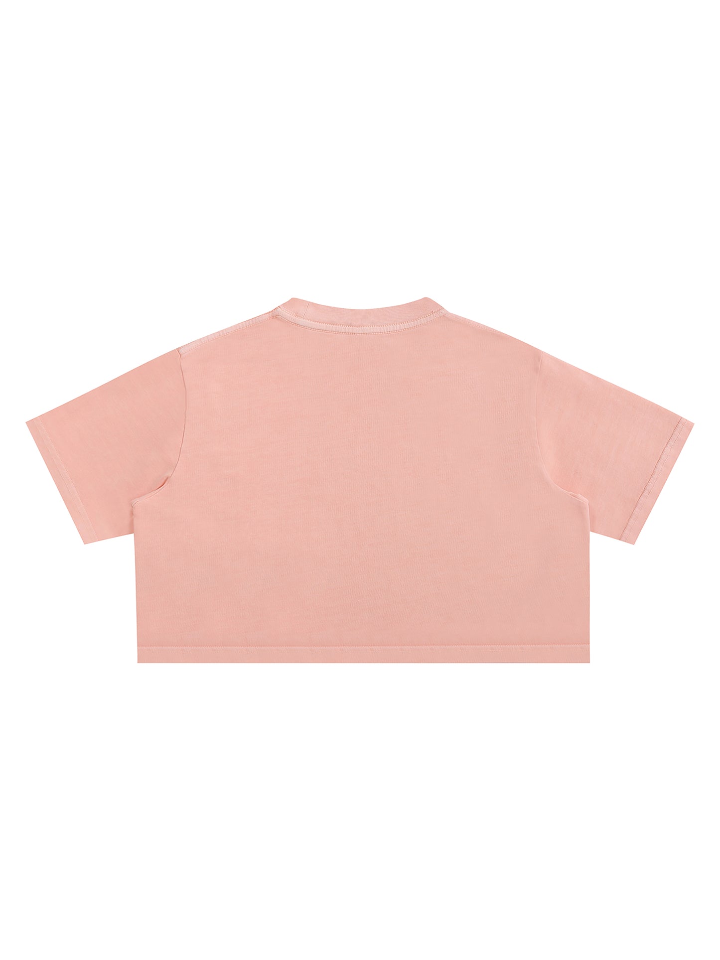 Snow Washed Crop Top
